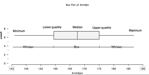 Box plot of arm span showing rectangle in centre with horizontal lines at either end. The rectangle (or box) covers the lower quartile, median and upper quartile. The lines (or whiskers) stretch to the maximum and minimum.