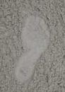 footprint_in_sand