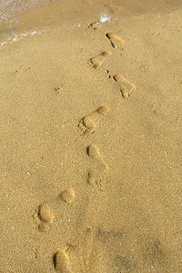 A line of footprints on the seashore.