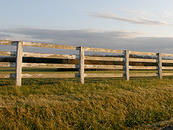 A country panorama showing a wooden fence with regularly-spaced upright posts and four regularly-spaced rails.